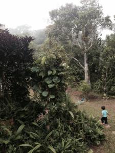 1958570_10152680646391311_2489203787383758680_n